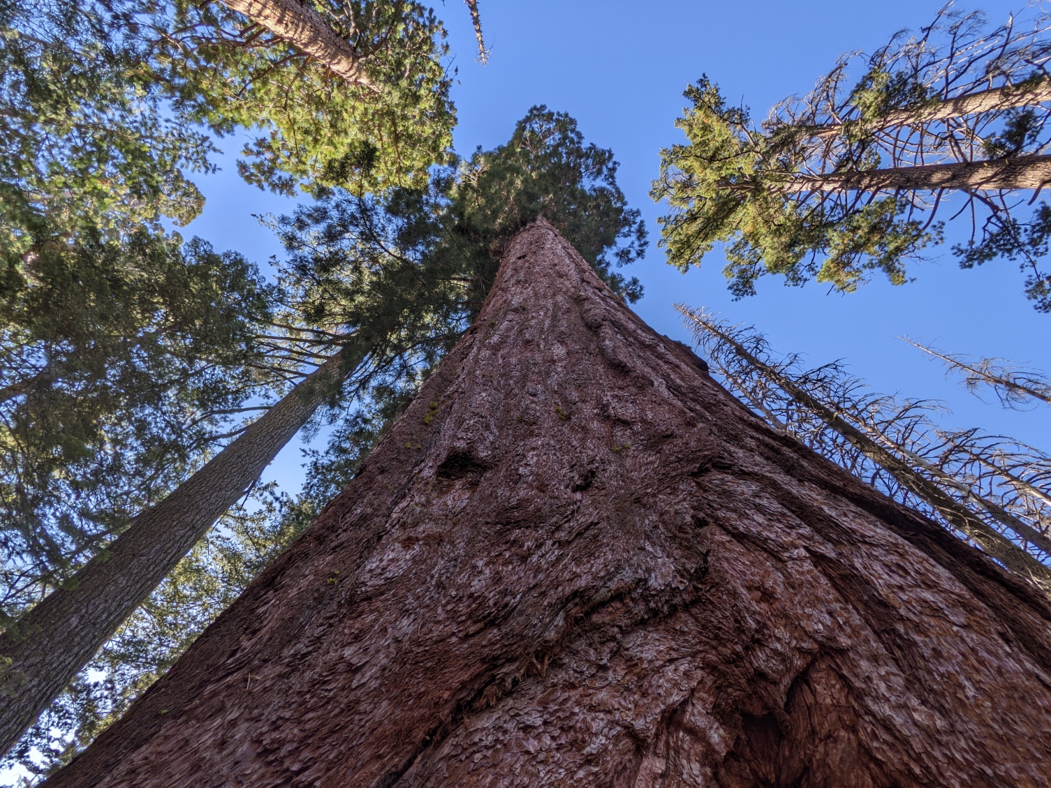 在住者おすすめ！アメリカの自然の絶景を楽しむ観光地ランキング