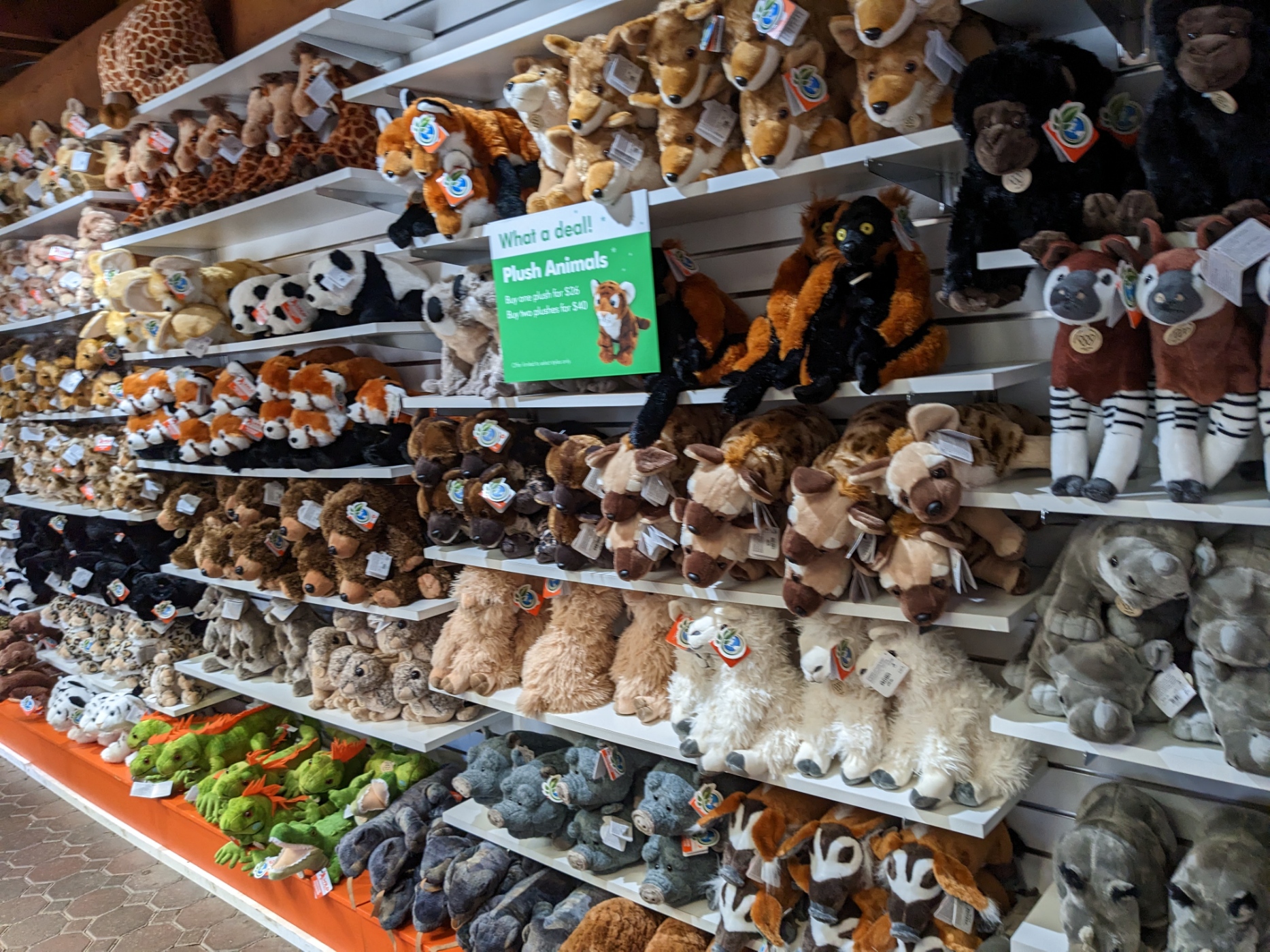 ニューヨークの人気観光地ブロンクス動物園の見どころ・治安・無料チケット