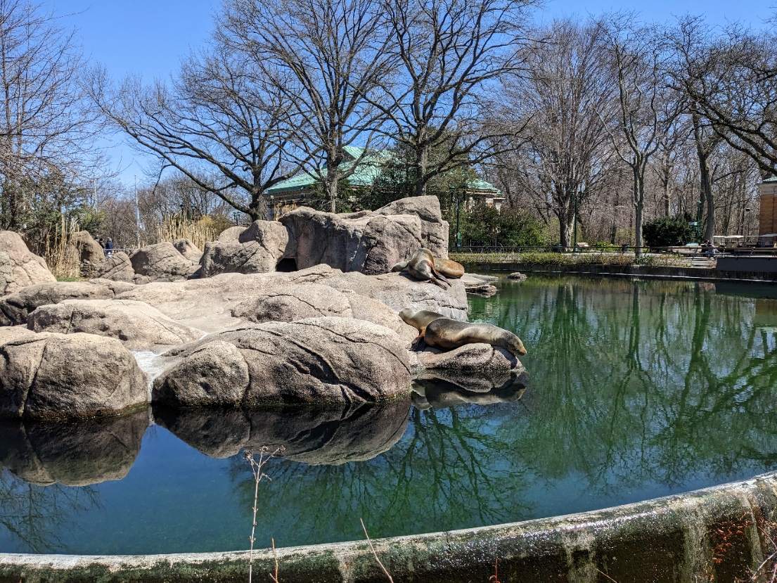 ニューヨークの人気観光地ブロンクス動物園の見どころ・治安・無料チケット